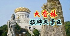 大鸡巴插逼视频中国浙江-绍兴大香林旅游风景区